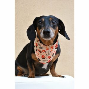 Bandana Réversible Pompier pour Chien