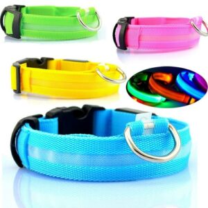 Collier LED Rechargeable USB pour Chien – Sécurité Nocturne
