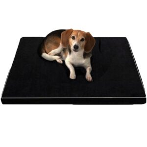 Arthur Tapis Ortho