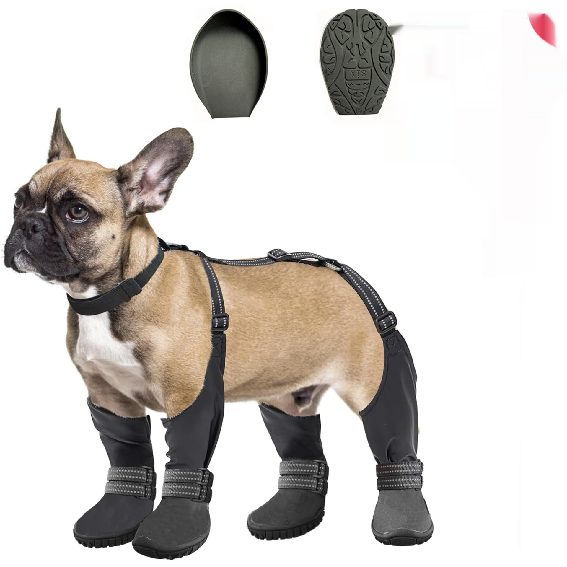 Bottines Premium pour Chien - Confort & Protection – Image 3
