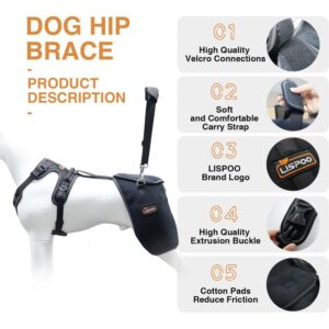 Harnais Premium Confort Articulations Chien