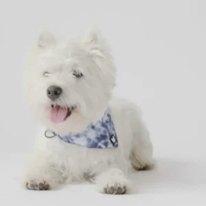 Bandana pour Chien — Ajustable Tie-Dye Popeline Bleu