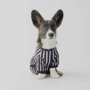 Pyjama pour Chien — Élégant Confortable