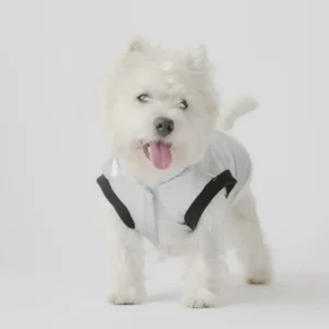 Manteau pour Chien
