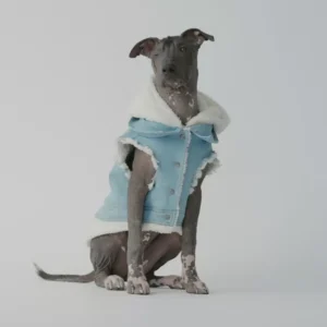 Manteau pour Chien — Denim