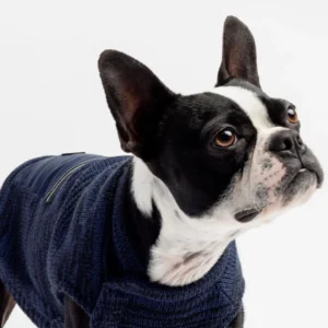 Pull pour Chien