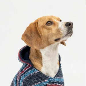 Manteau pour Chien — Bleu