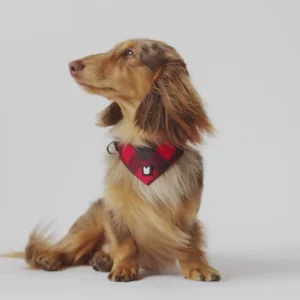 Bandana pour Chien — Ajustable Popeline Rouge