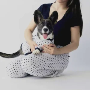 Pyjama pour Chien — à Pois Élégant Confortable