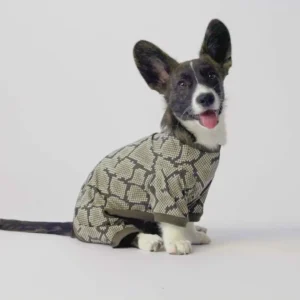 Pyjama pour Chien — Confortable Doux