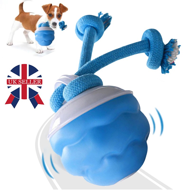 Balle Interactive Premium - Stimulation Intelligente pour Chien – Image 6