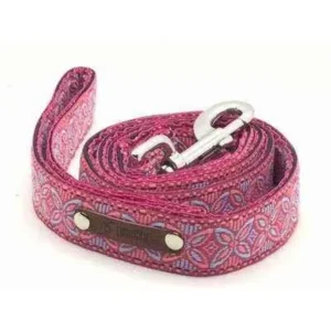 Laisse pour Chien