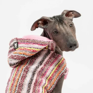 Manteau pour Chien — Rose
