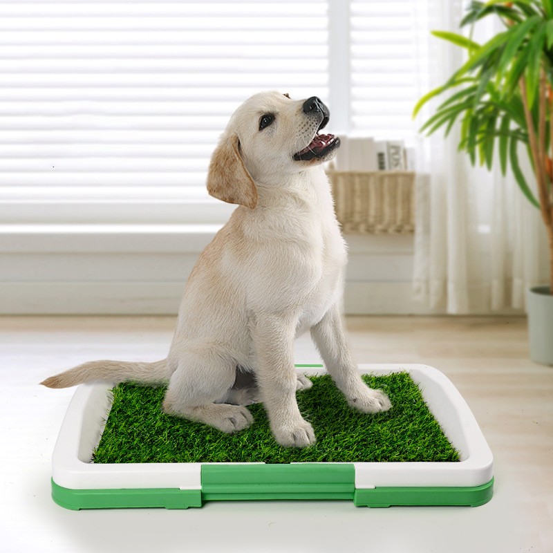Toilette Premium pour Chien - Gazon Artificiel Haut de Gamme – Image 6