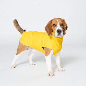 Doudoune Premium Imperméable pour Chien - Élégance & Protection