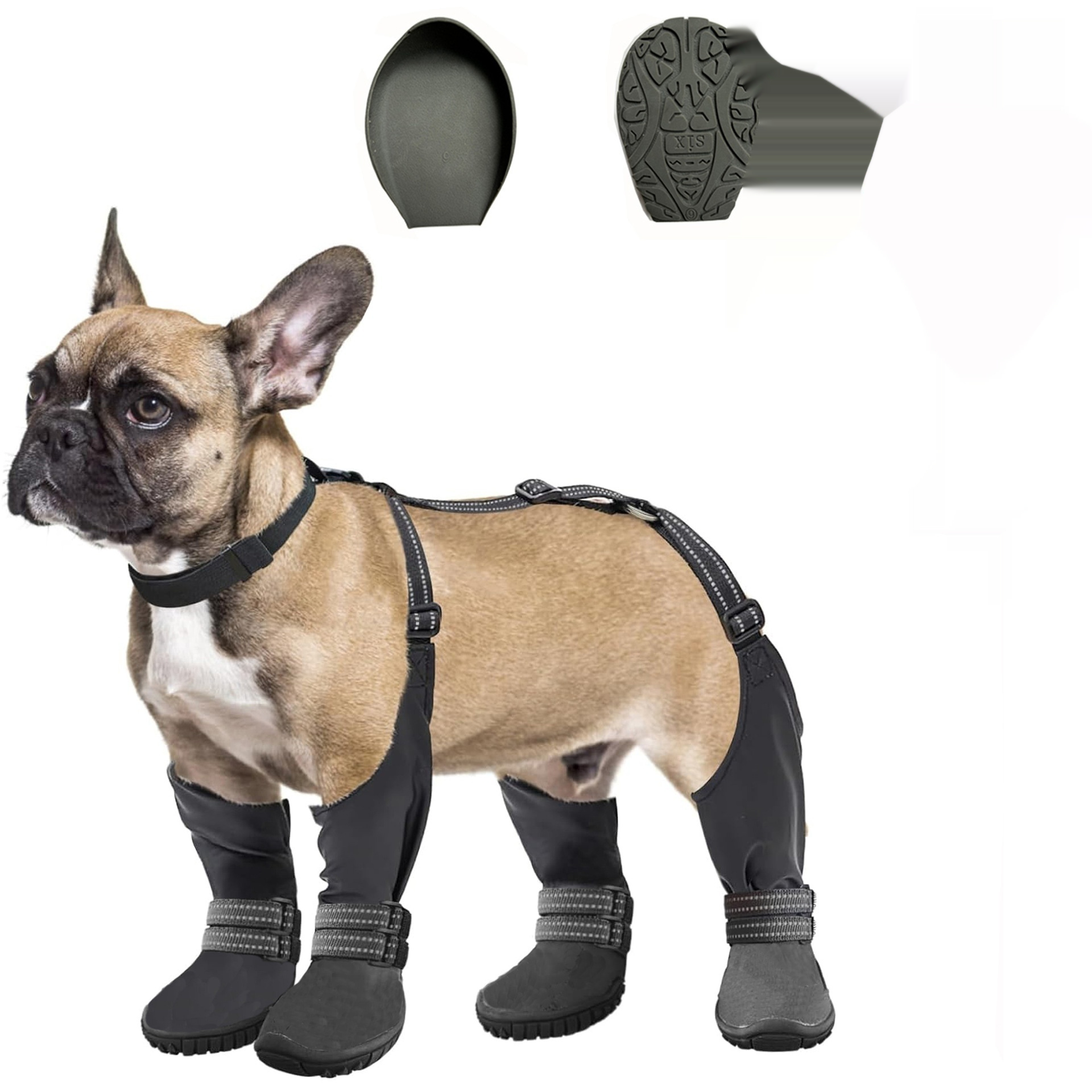 Bottines Premium pour Chien - Confort & Protection – Image 2
