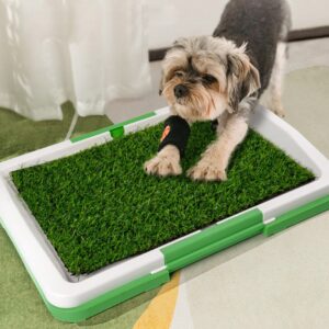 Toilette Premium pour Chien - Gazon Artificiel Haut de Gamme