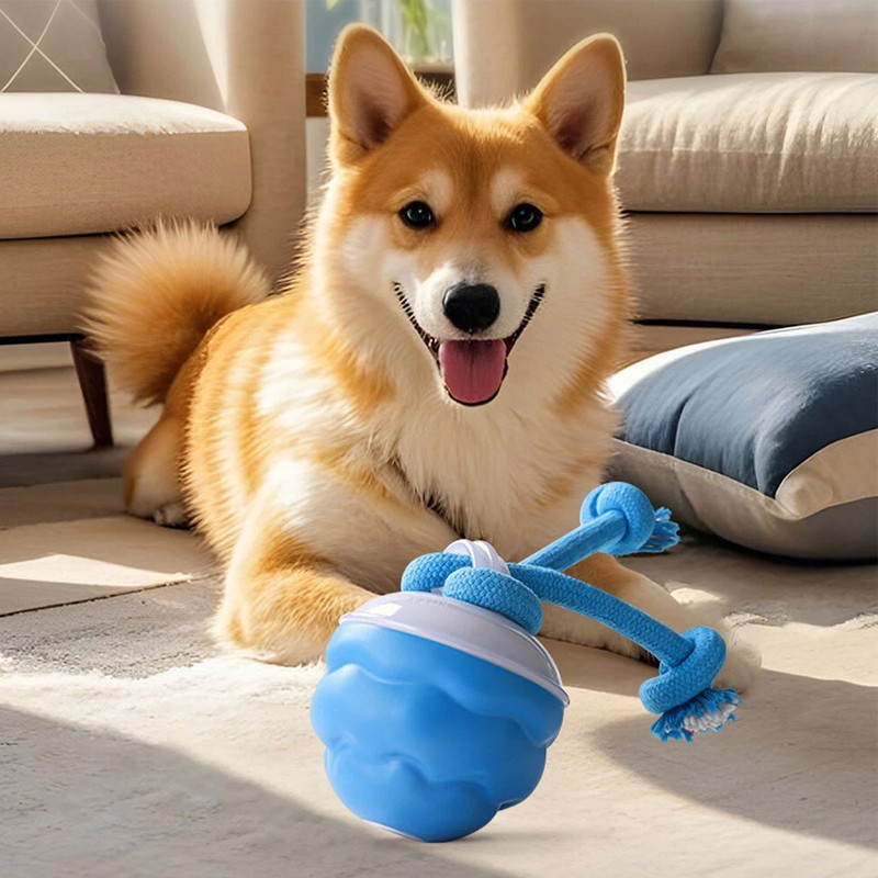 Balle Interactive Premium - Stimulation Intelligente pour Chien