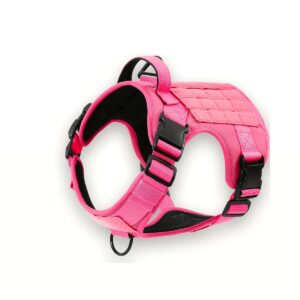 Pack Promenade Sereine